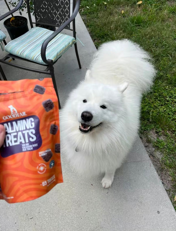 Sarah Mitchell's review