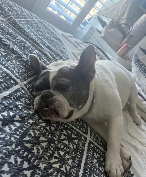 Robert Williams's review