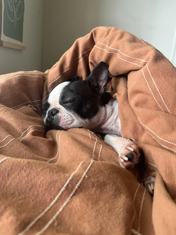 Michael Chen's review