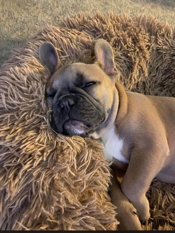 Jennifer Rodriguez's review