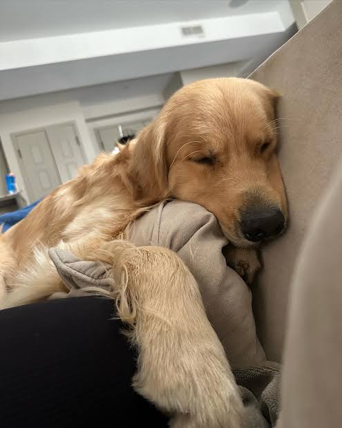 James Parker's review