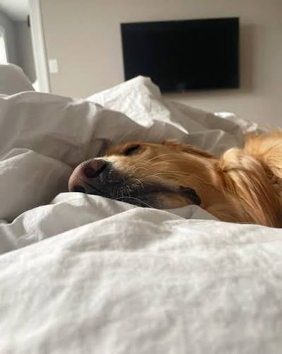 Emily Davis's review