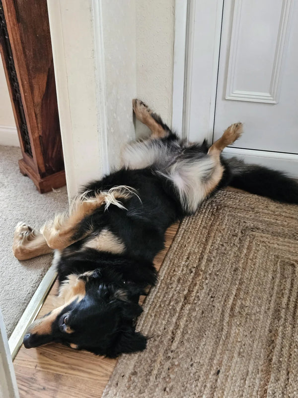 Daniel Brown's review